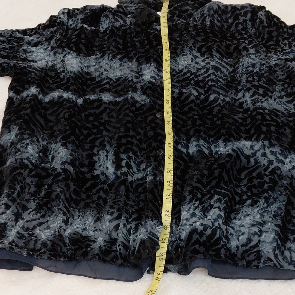 $5🧨  Rena Rowan Black Velvet Burnout Blouse - Picture 5 of 10